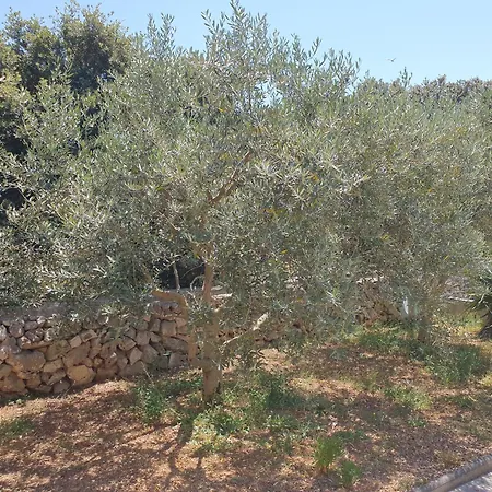 Olive Apartment Mandre