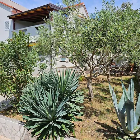 Olive Appartement