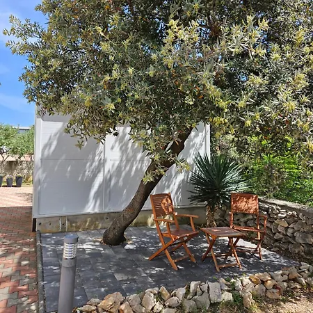 Olive * Mandre