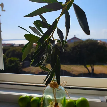 Olive Appartement Mandre